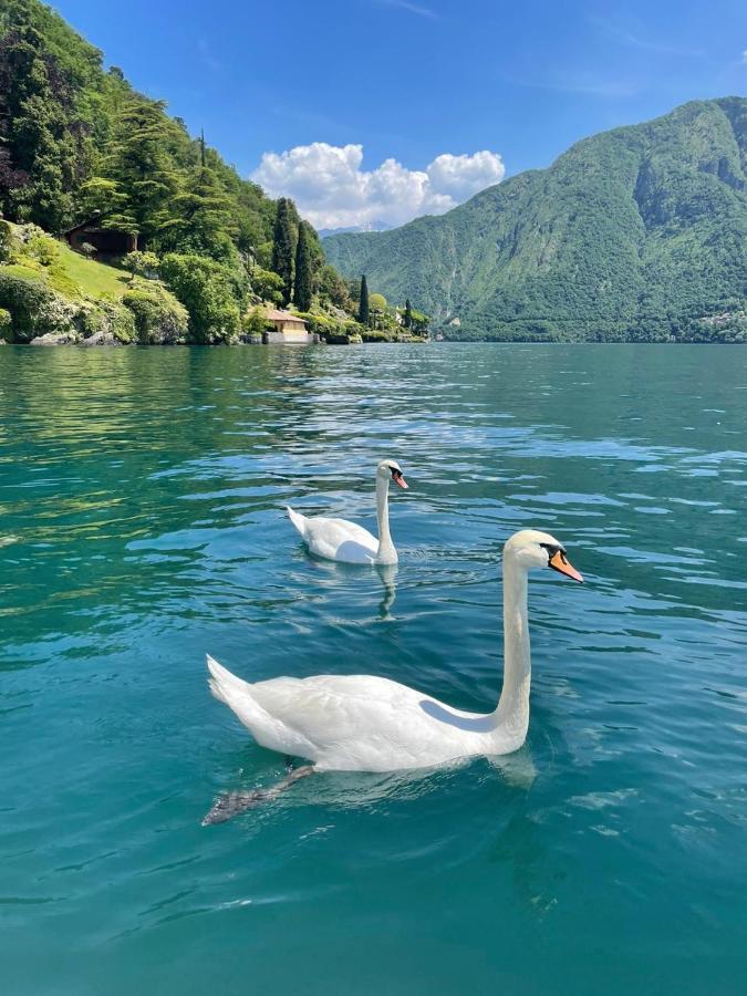 Appartement Casacamelia 35, 3 Bdrm With View Lake Como à Acquaseria Extérieur photo